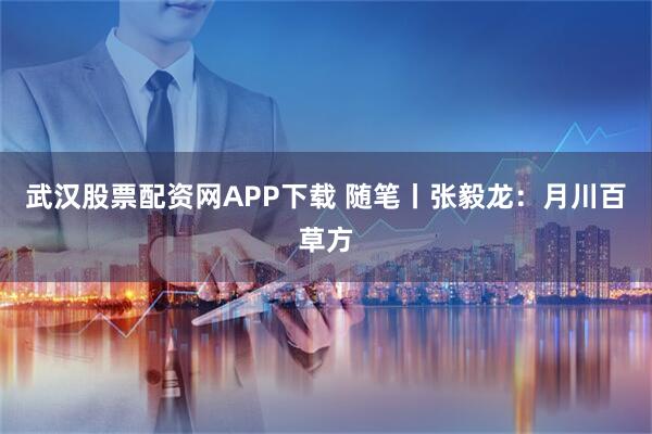 武汉股票配资网APP下载 随笔丨张毅龙：月川百草方