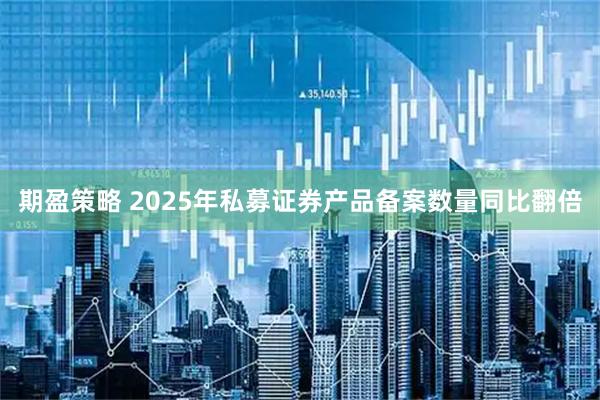 期盈策略 2025年私募证券产品备案数量同比翻倍