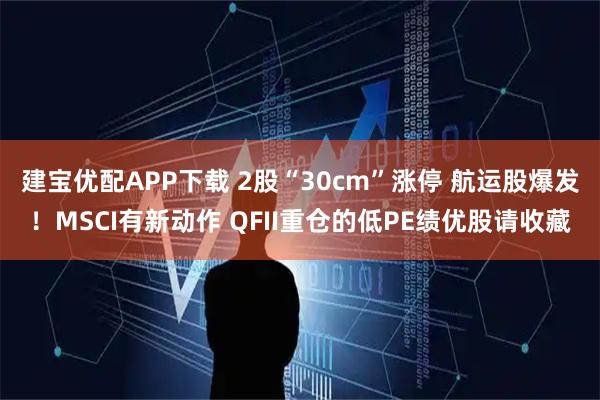 建宝优配APP下载 2股“30cm”涨停 航运股爆发！MSCI有新动作 QFII重仓的低PE绩优股请收藏