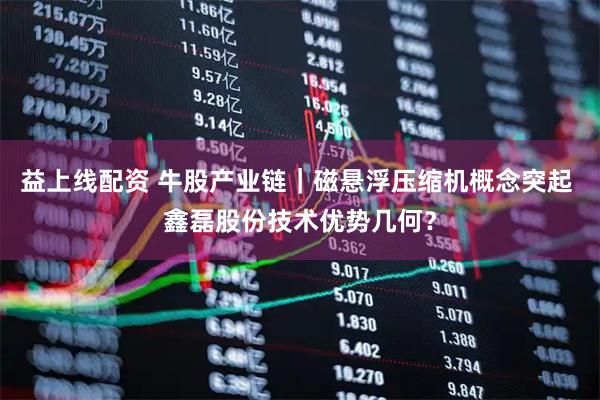 益上线配资 牛股产业链｜磁悬浮压缩机概念突起 鑫磊股份技术优势几何？