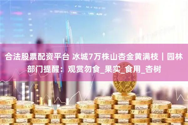 合法股票配资平台 冰城7万株山杏金黄满枝｜园林部门提醒：观赏勿食_果实_食用_杏树