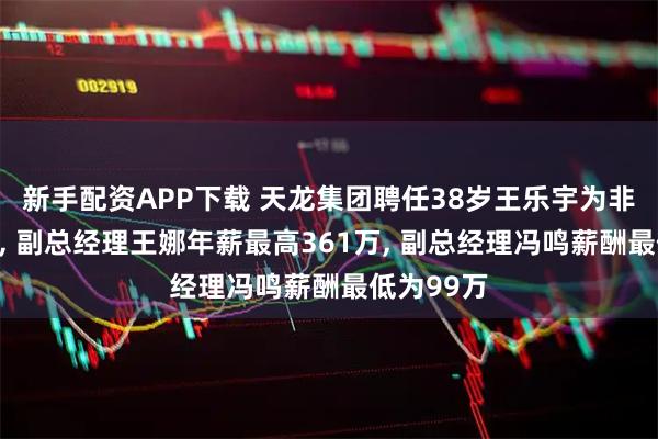 新手配资APP下载 天龙集团聘任38岁王乐宇为非独立董事, 副总经理王娜年薪最高361万, 副总经理冯鸣薪酬最低为99万